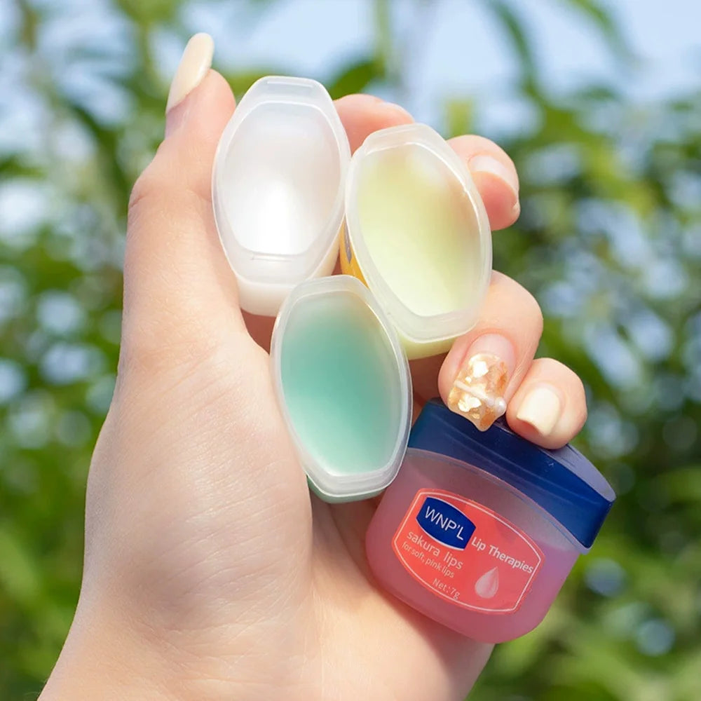 Hydrating Lip Balm Set – Natural Plant-Based Formula (4/6/8 Pack)